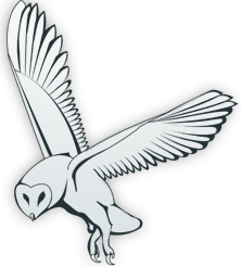 Online Gay Chatting Site Web